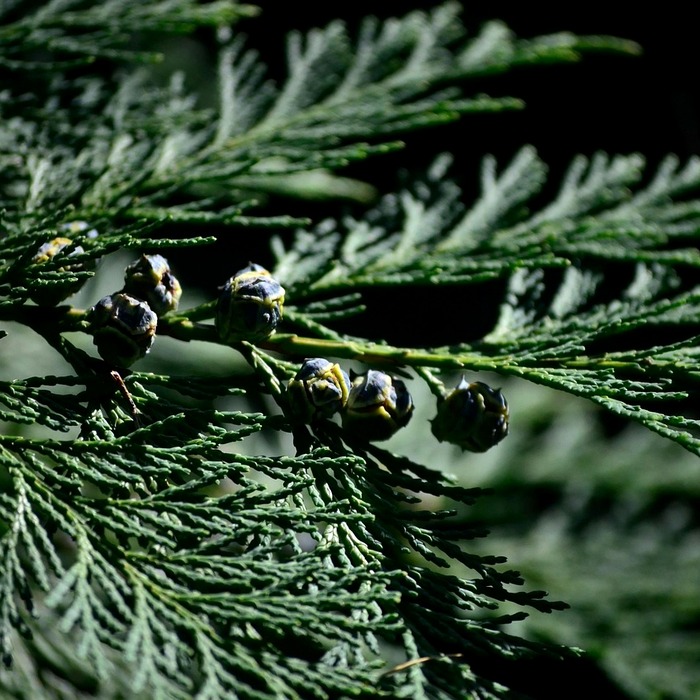 대형주 투자 전략