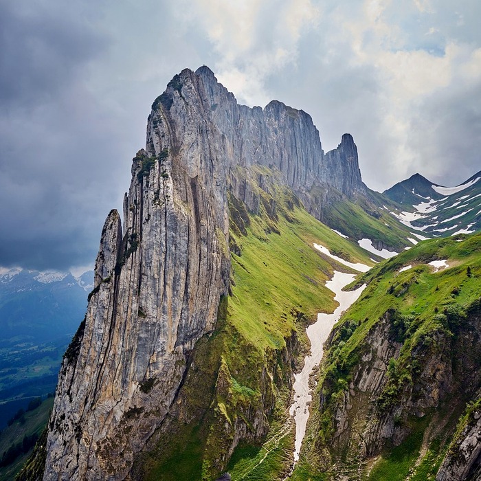 세율 변화 비교