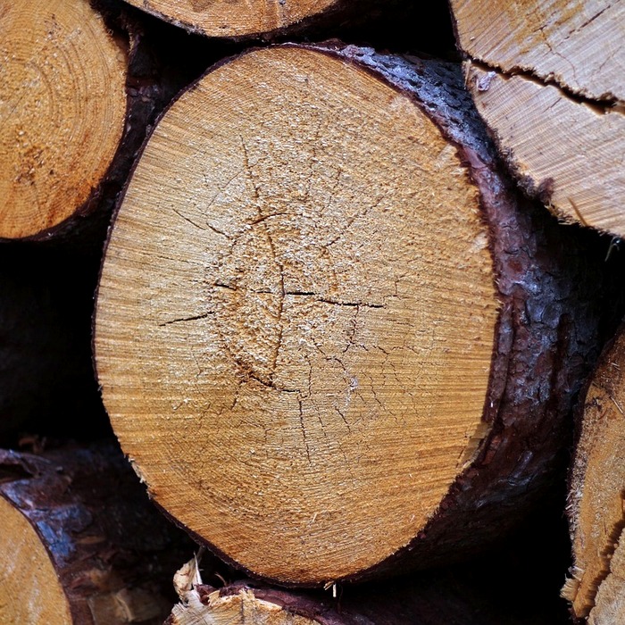 홈택스 로그인 과정