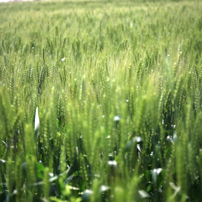 성과 기반 보상