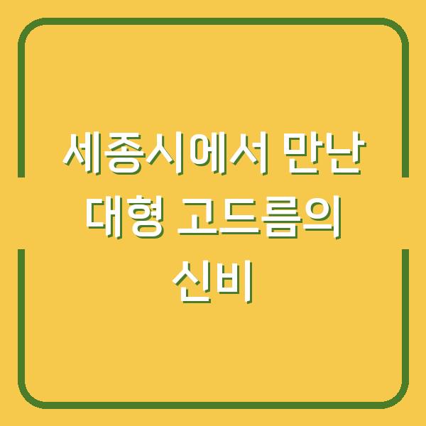 세종시에서 만난 대형 고드름의 신비