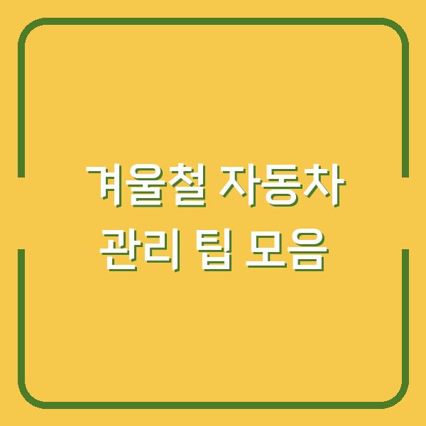 겨울철 자동차 관리 팁 모음