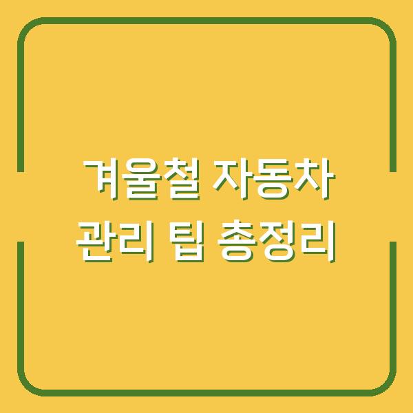 겨울철 자동차 관리 팁 총정리