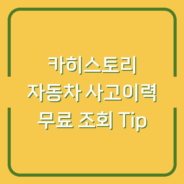 카히스토리 자동차 사고이력 무료 조회 Tip