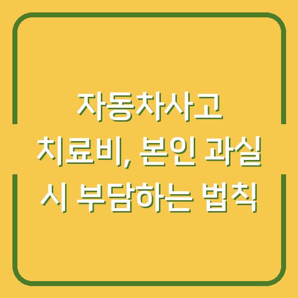 자동차사고 치료비, 본인 과실 시 부담하는 법칙
