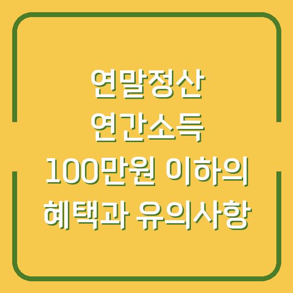 연말정산 연간소득 100만원 이하의 혜택과 유의사항