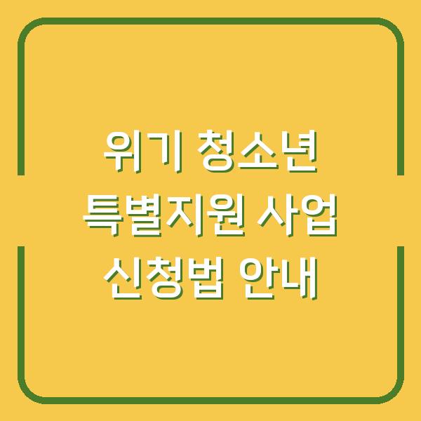 위기 청소년 특별지원 사업 신청법 안내