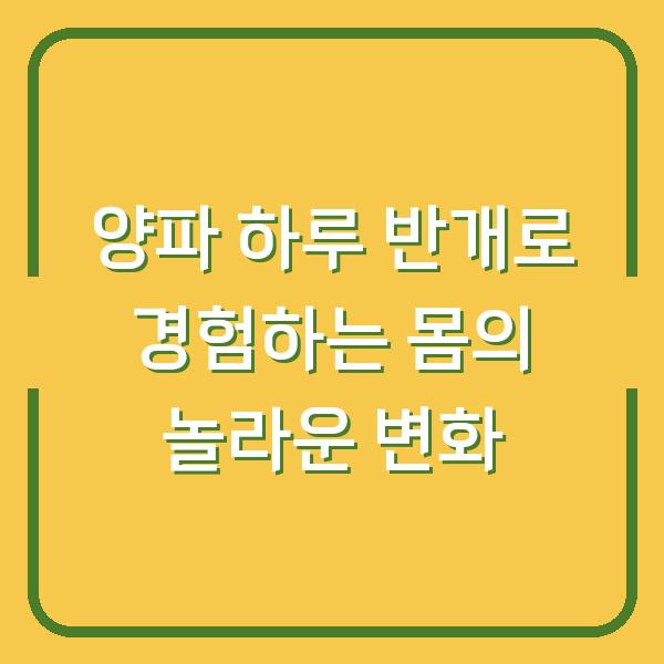 양파 하루 반개로 경험하는 몸의 놀라운 변화