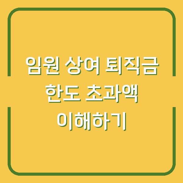 임원 상여 퇴직금 한도 초과액 이해하기