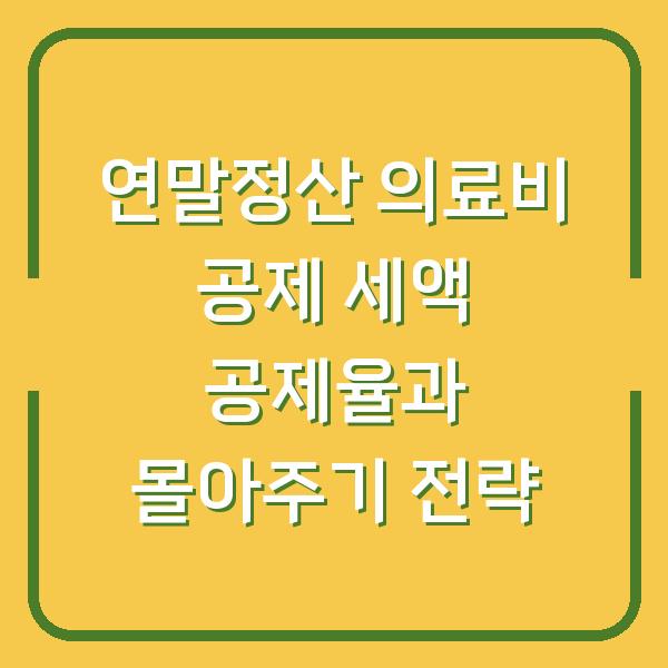 연말정산 의료비 공제 세액 공제율과 몰아주기 전략