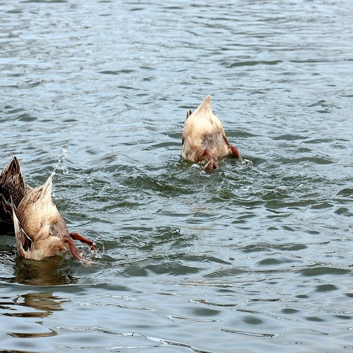 무이자 할부판매