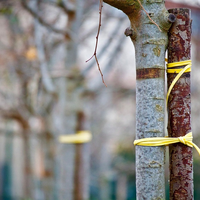고용노동부 지원