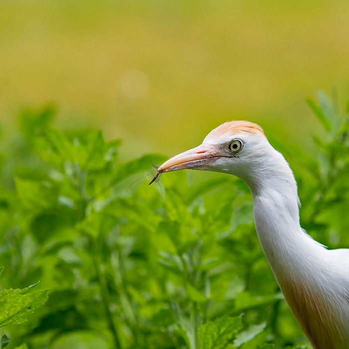 저축은행 금리 비교