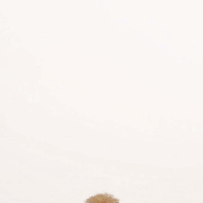 희망플러스 특례보증