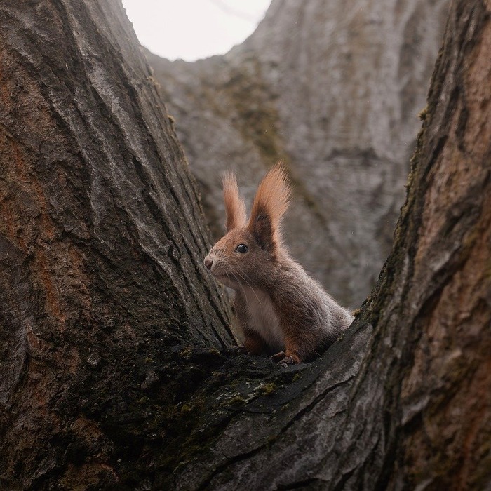 저렴한 수수료 경계