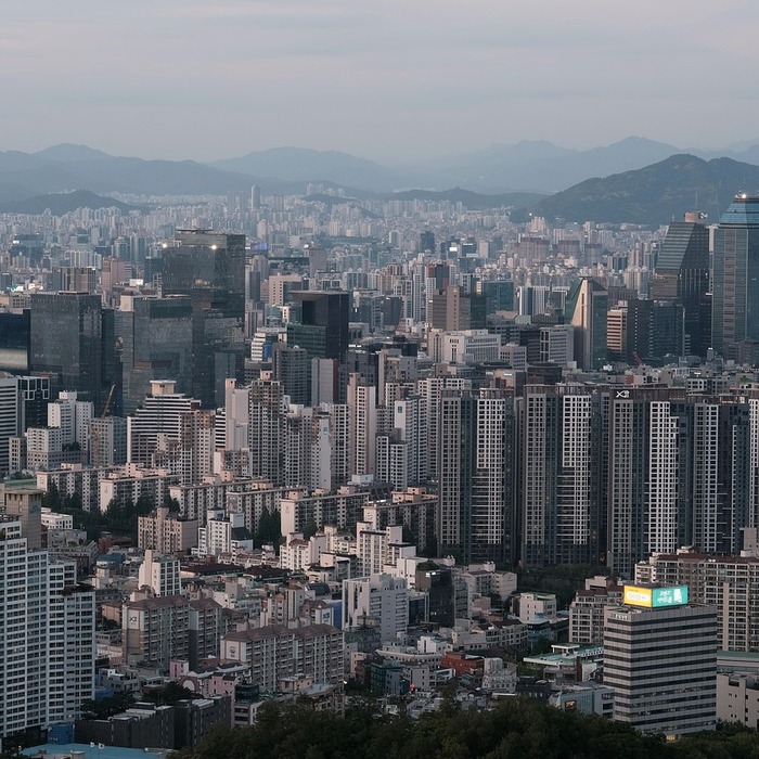 서울 재난지원금