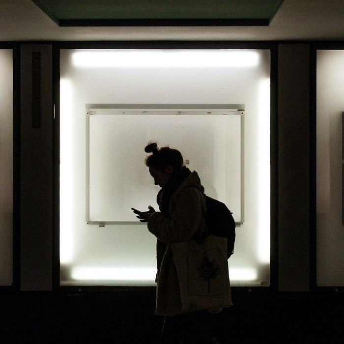 재난지원금 개요