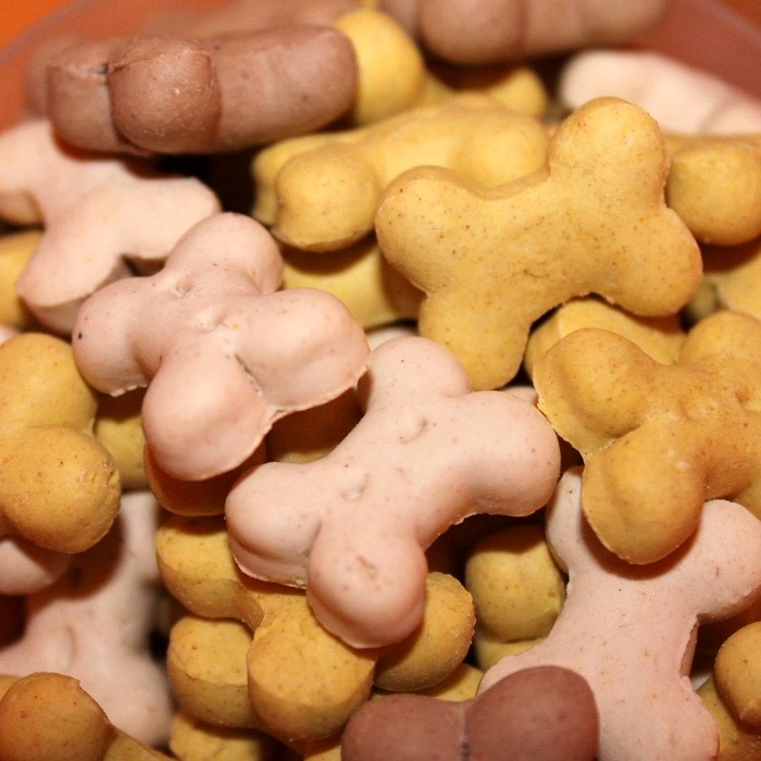 직원 성과 보상