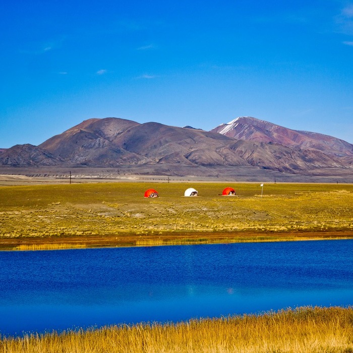 배당금 지급 추이