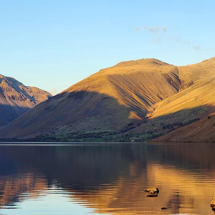 영국 기업결합심사