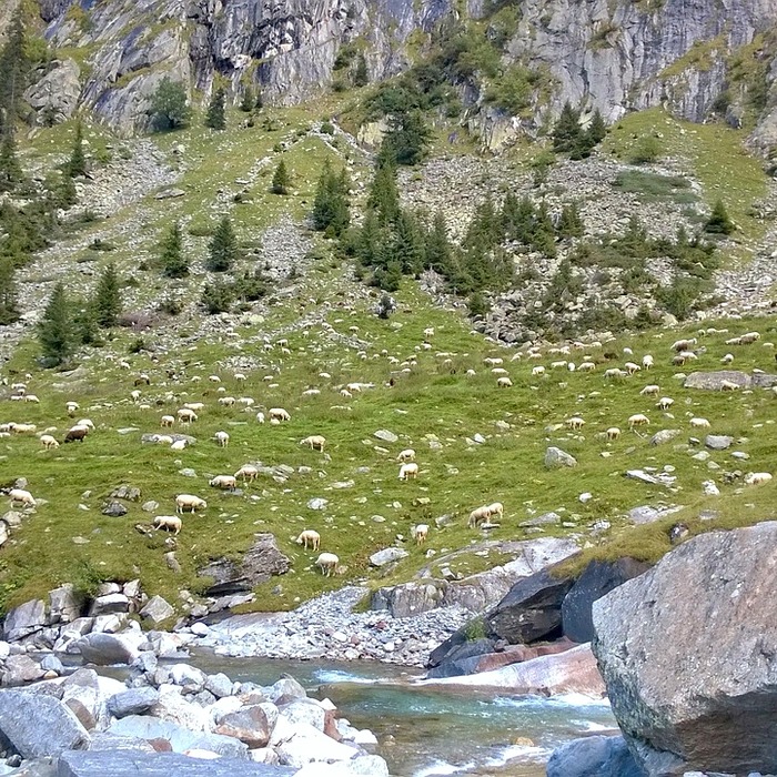 세액 공제 설명