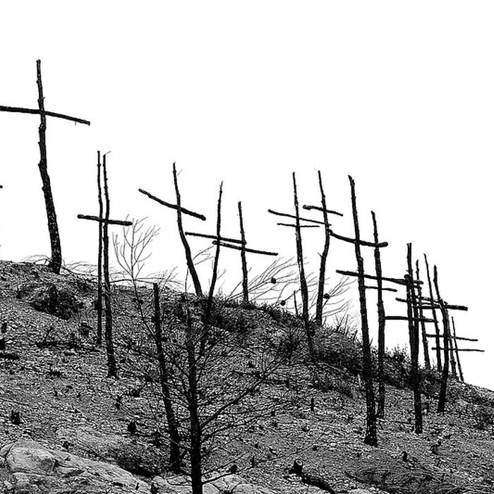 달러 가치 하락