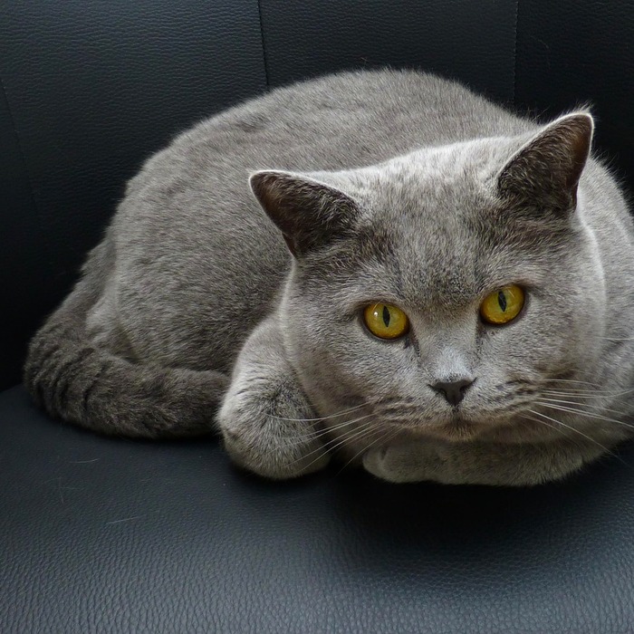 새마을금고 홈페이지