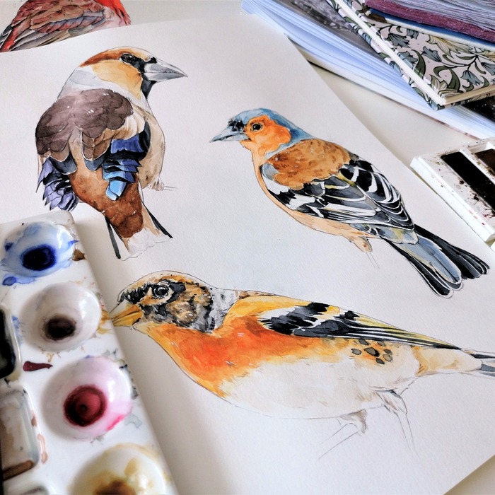 다양한 차량 선택