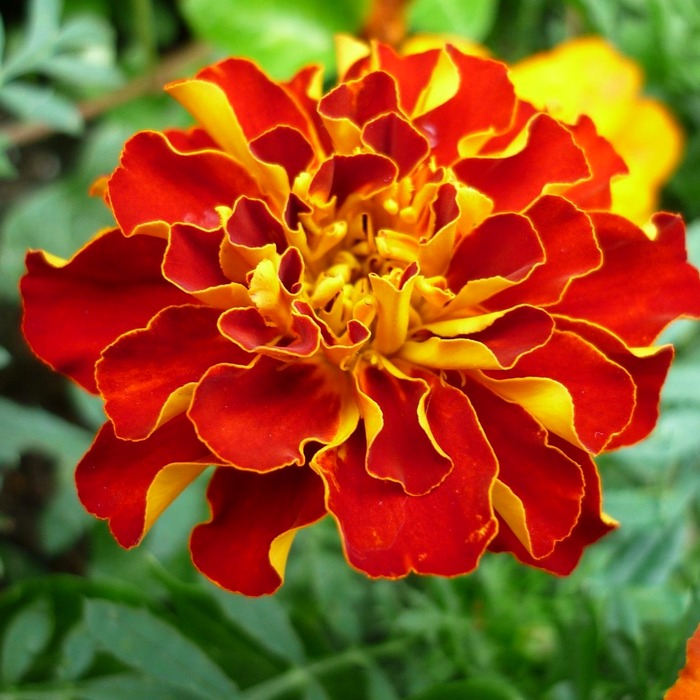 저렴한 차량 선택