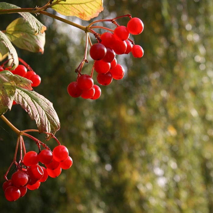 삼성 평균 연봉