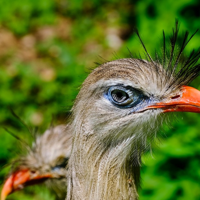 비서 채용 공고