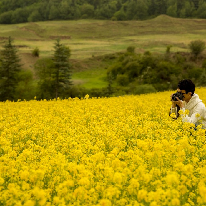 체크카드 신청서