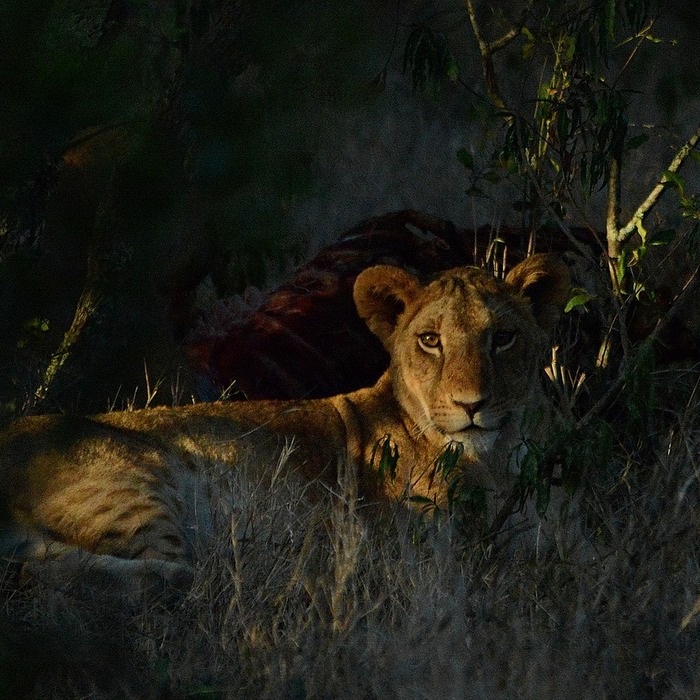 중도퇴사자 연말정산