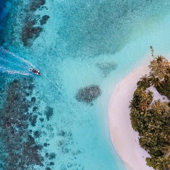 모바일 교통카드