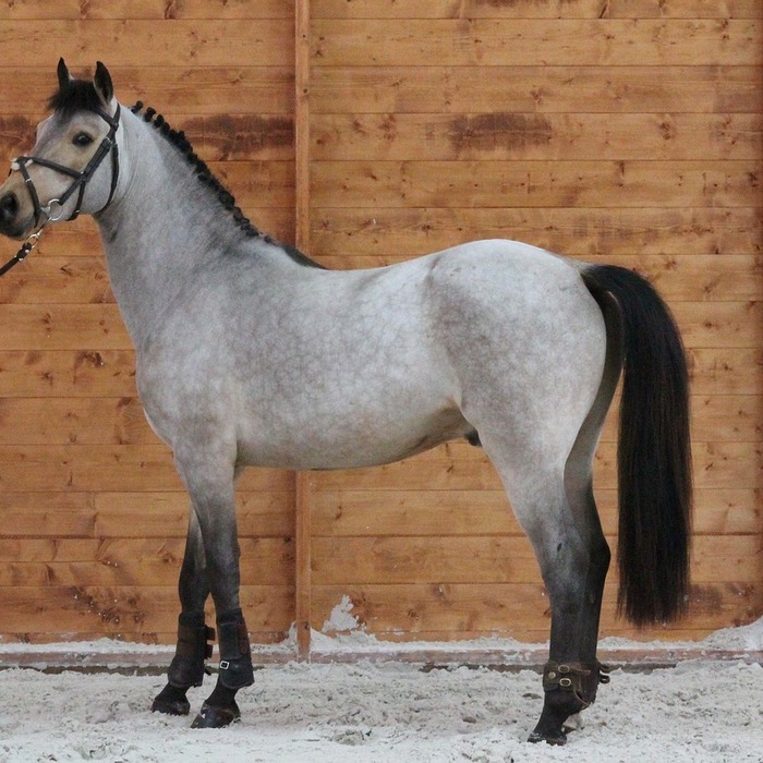 소득 기준 설명