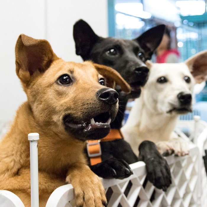 부산울산지사 채용