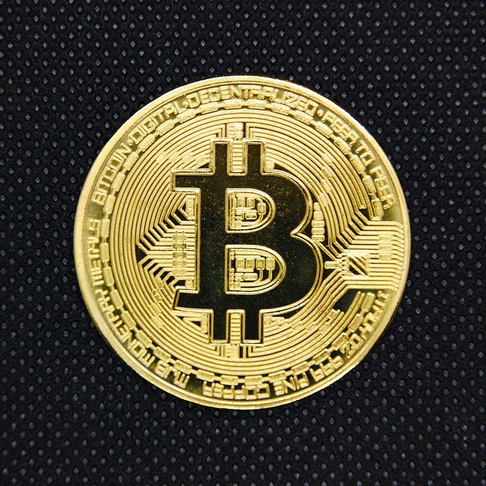 마로 코인 개요