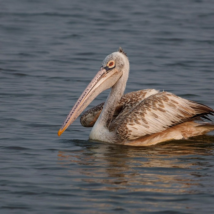 보험금 청구 방법