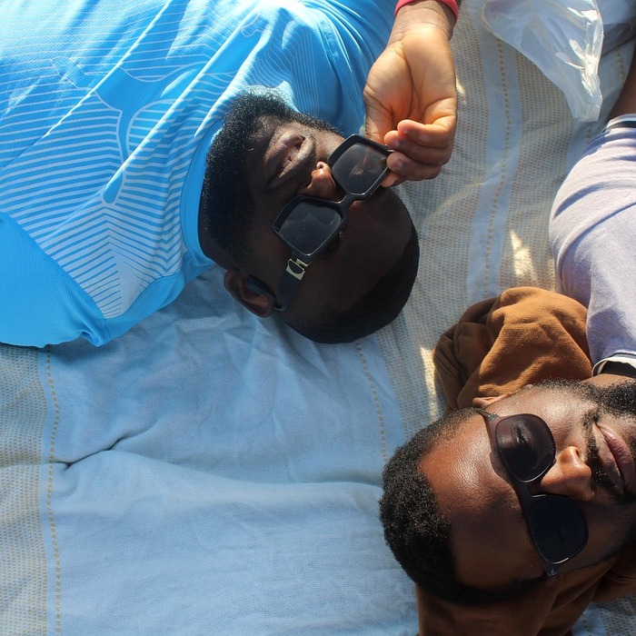 도지코인 가격 동향