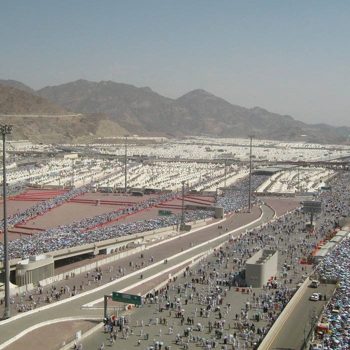 도지코인 커뮤니티