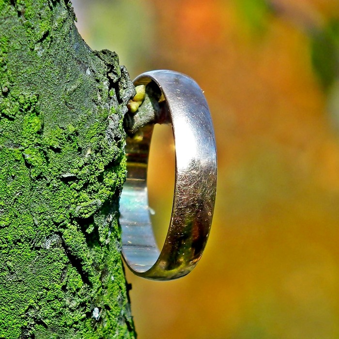 신한 쏠퀴즈 참여