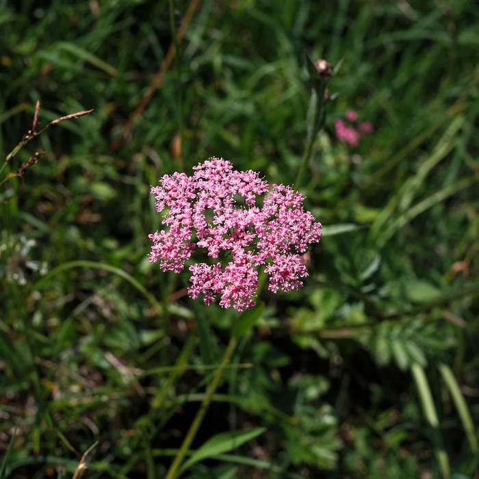 예치금액별 금리