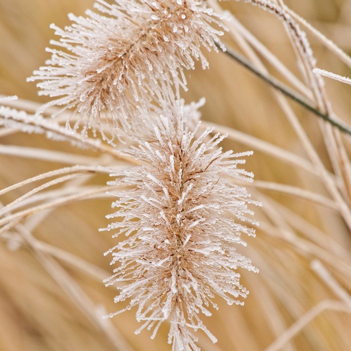 인증보안센터 화면