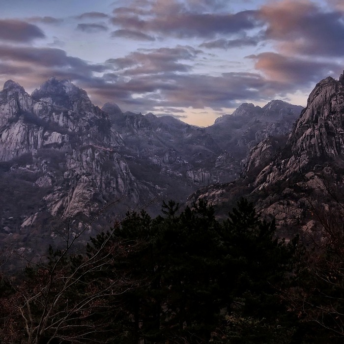 출산지원금 종류