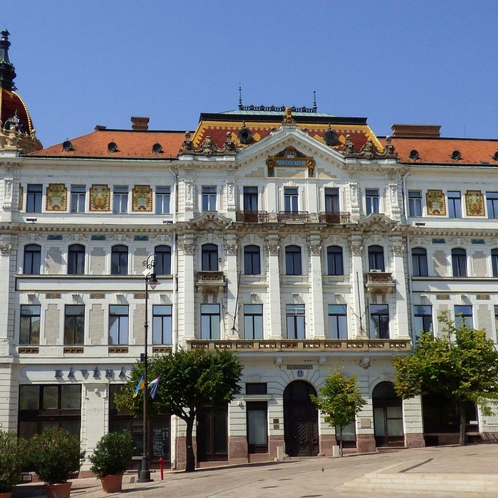 시노펙스 무상증자