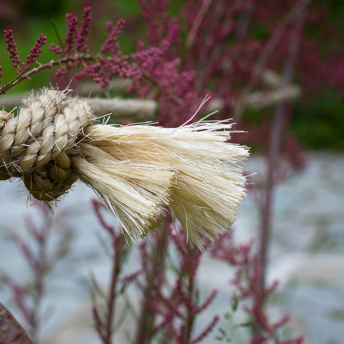 연금보험 안정성