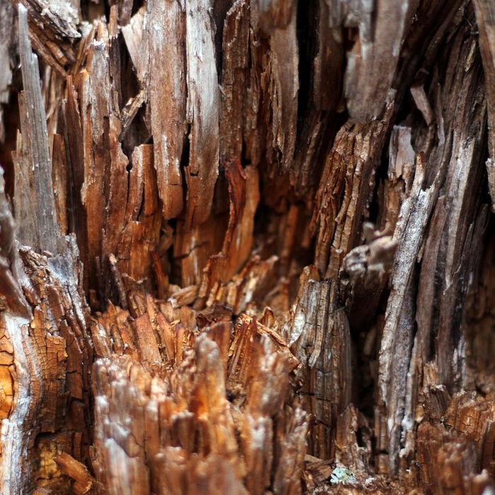 홈택스 로그인 화면