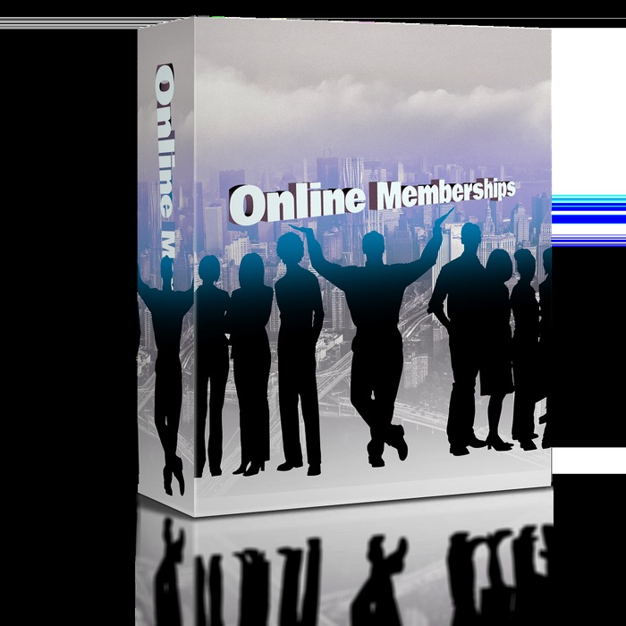 온라인 보험 가입