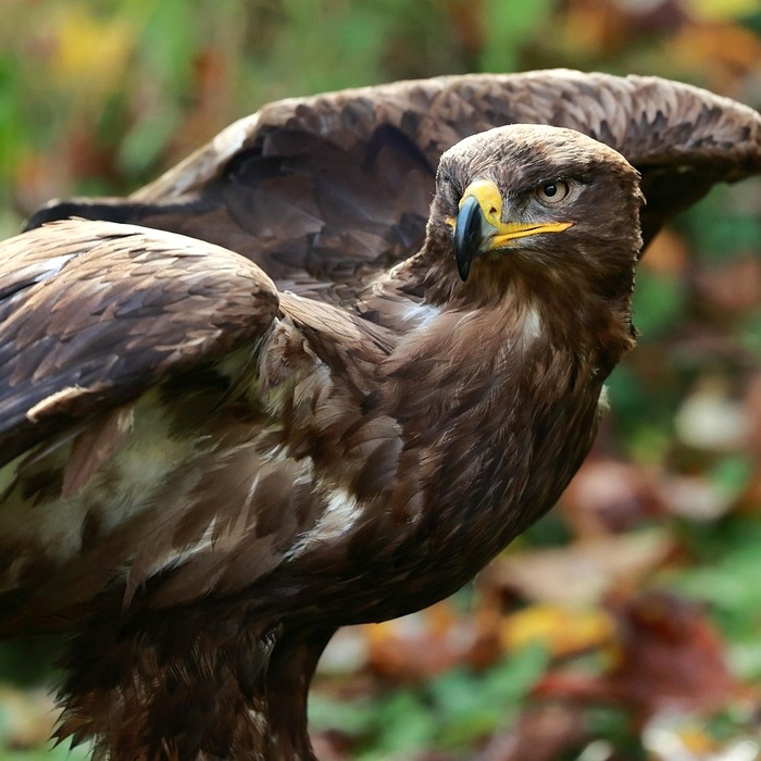 가입 기간 확인