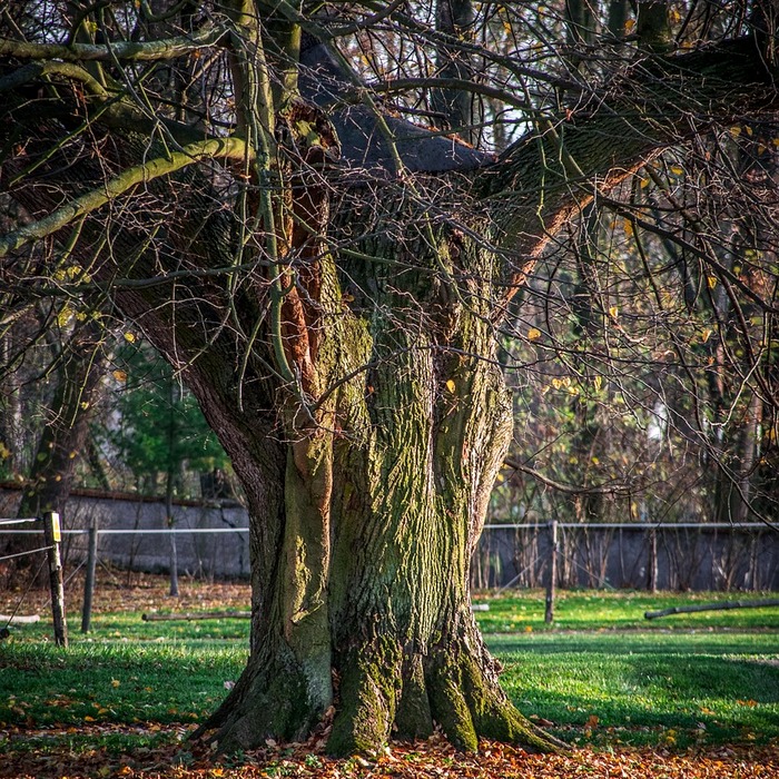 이자 부담 감소
